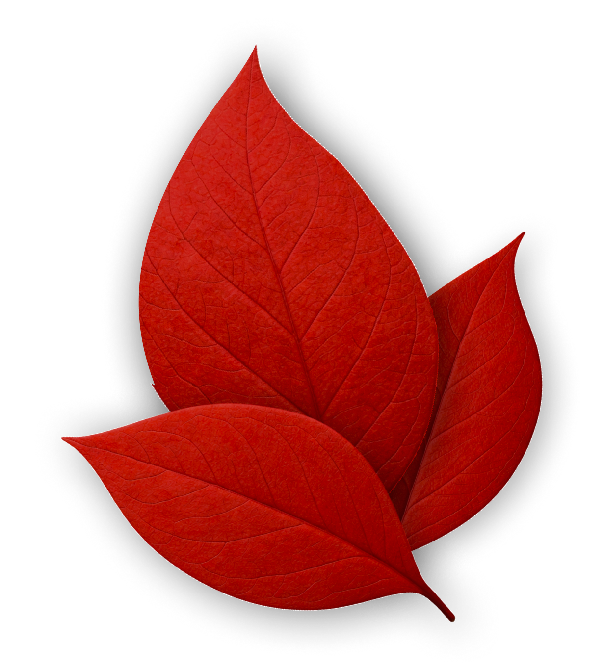 oakcomputer-support-form